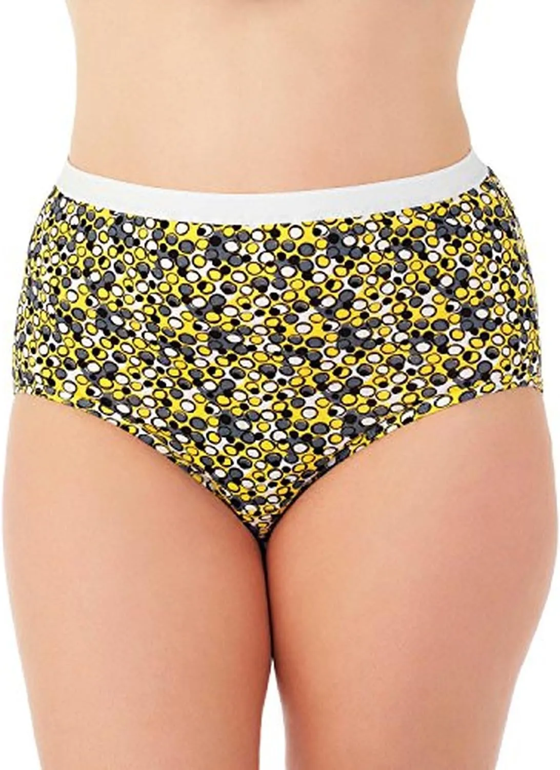 Fruit of the Loom Women's Fruit of the Loom Women's Plus Size Fit for Me 5 Pack Microfiber Brief Panties